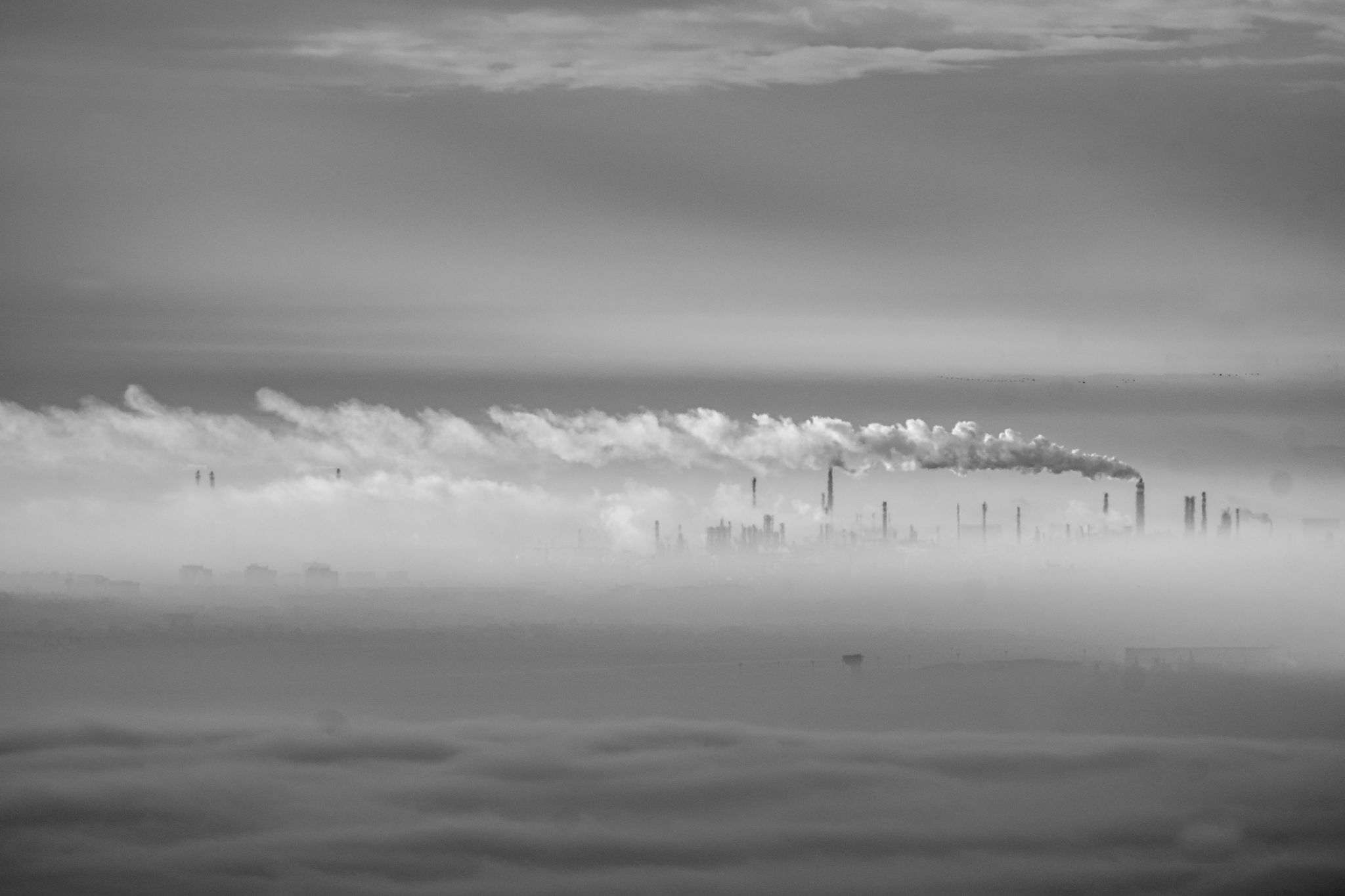 DSC 2640